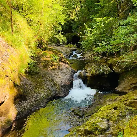 Studio Cocooning Dans Le Cantal * 拉维西尔
