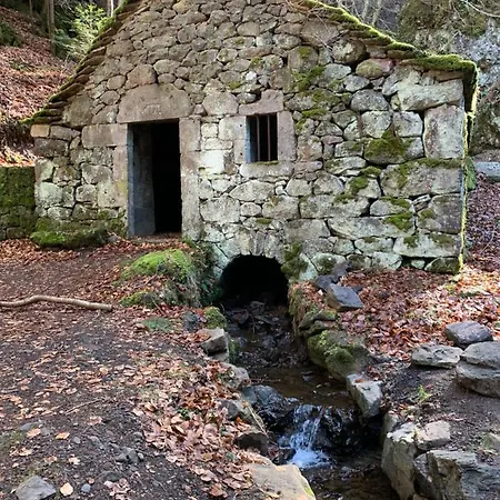Studio Cocooning Dans Le Cantal 公寓 *