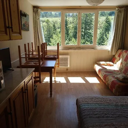 Studio Cocooning Dans Le Cantal * 拉维西尔